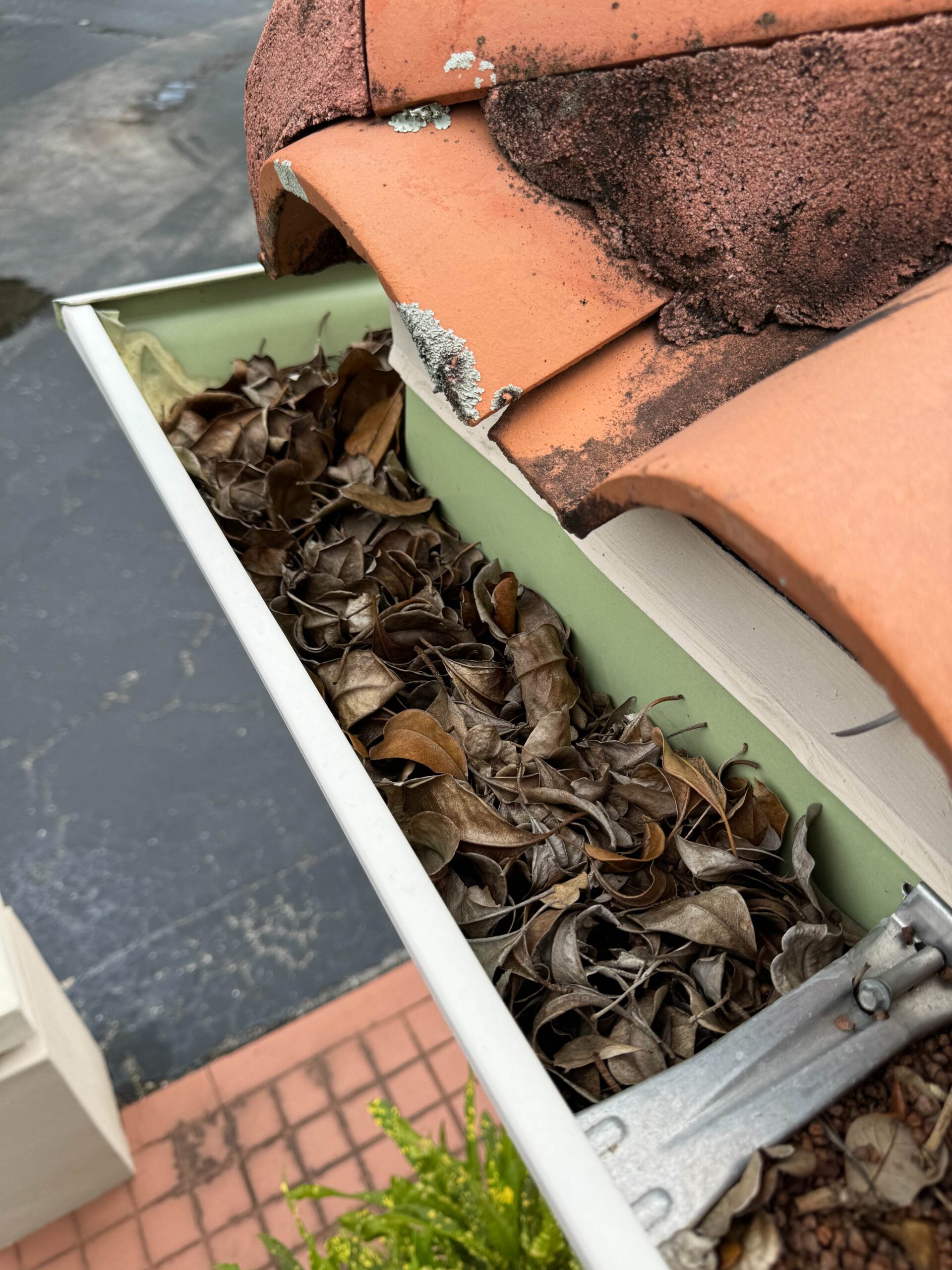 Window cleaning gutter cleaning-10
