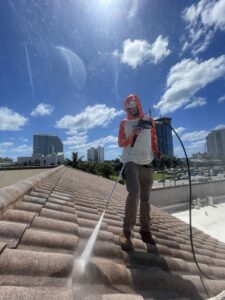roof washing palm beach